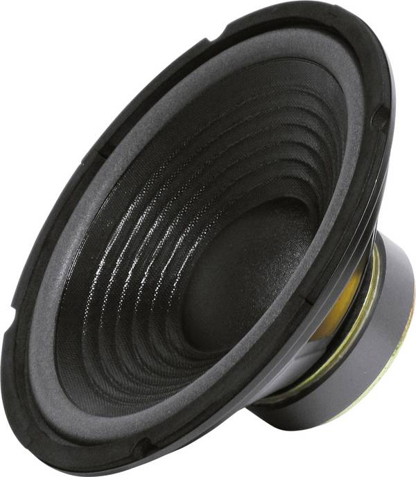 Sintron 203376  25 cm PA subwoofer 200 W 8 Ω