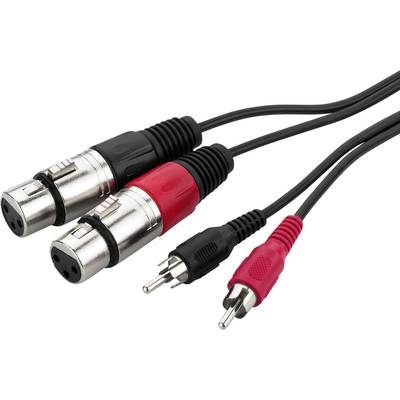 Dva audiokonektory s XLR konektory a dva cinch konektory, černé a červené, na bílém pozadí.