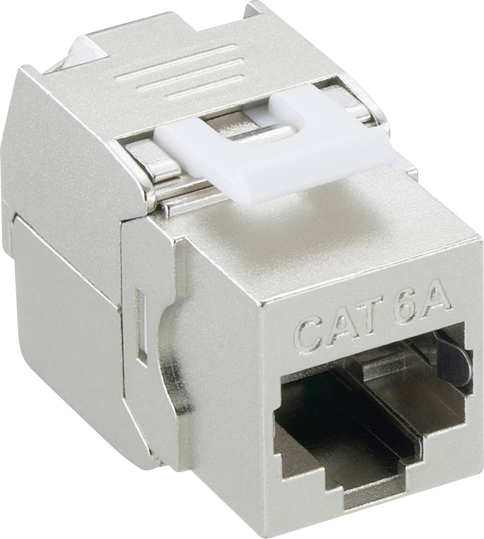 Stříbrný síťový modul Cat 6A s RJ45 konektorem, vhodný pro vysokorychlostní přenosy dat v IT a komunikačních systémech.