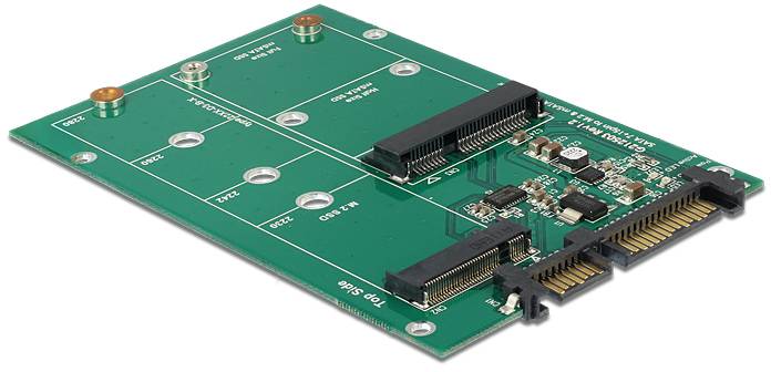 Delock 62670 adaptér rozhraní [1x SATA - 1x M2, mSATA]-1