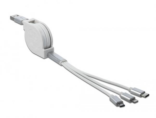 Delock USB kabel USB 2.0 USB-A zástrčka, USB-C ® zástrčka, USB Micro-B zástrčka, Apple Lightning konektor 0.98 m šedá 85850