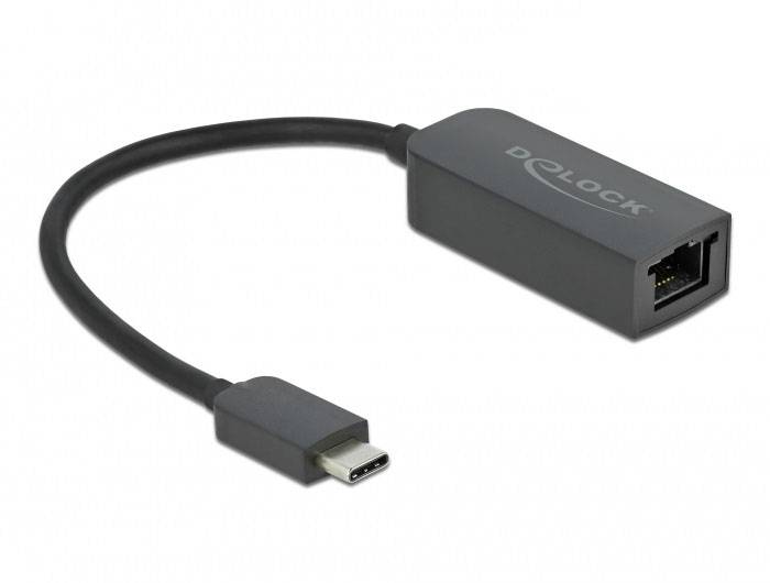 Šedý USB-C na Ethernet adaptér značky Delock, s USB-C konektorem na jedné straně a ethernetovým portem na straně druhé.
