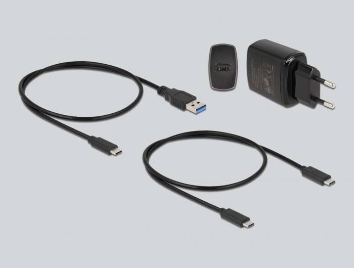 Delock 64138 USB-C®, ExpressCard dokovací stanice pro pevný disk s USB hubem-4