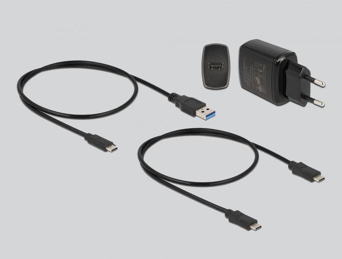 Delock 64177 USB-C® dokovací stanice pro pevný disk s funkcí klonování-6