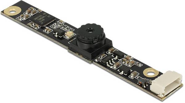 Delock  95976  95976  modul barevné kamery CMOS