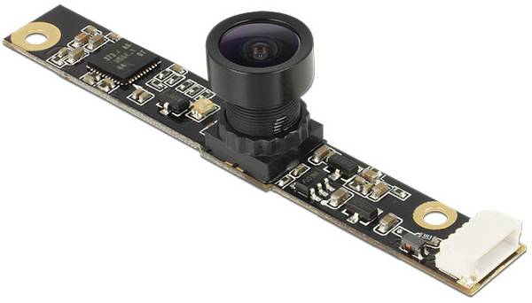 Delock  95979  95979  modul barevné kamery CMOS