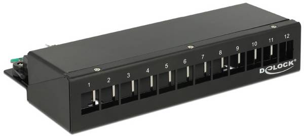 Delock 43339  patch panel    černá