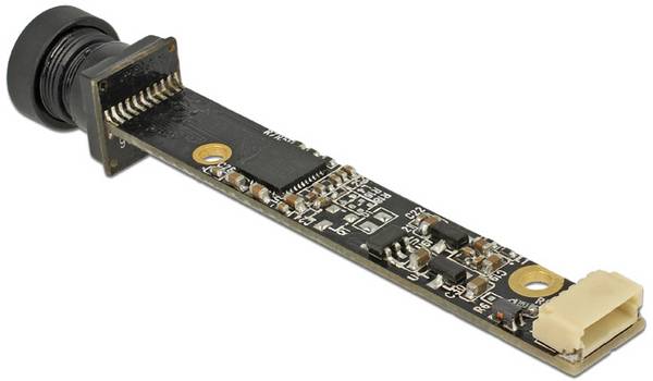 Delock  96383  96383  modul barevné kamery CMOS