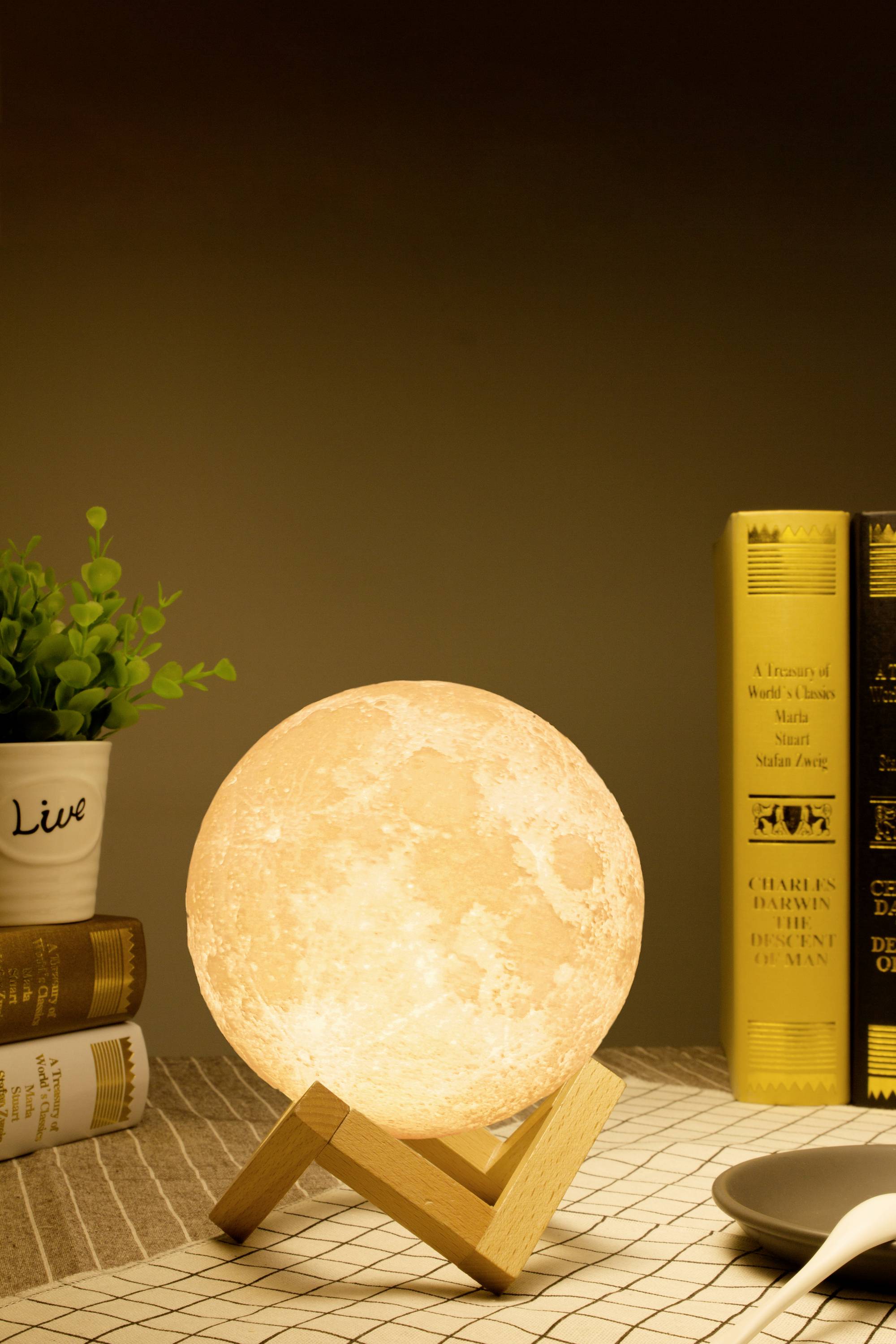 Stolní lampa na stole, obklopená knihami a malou rostlinou. Tlumené osvětlení vytváří útulnou atmosféru.
