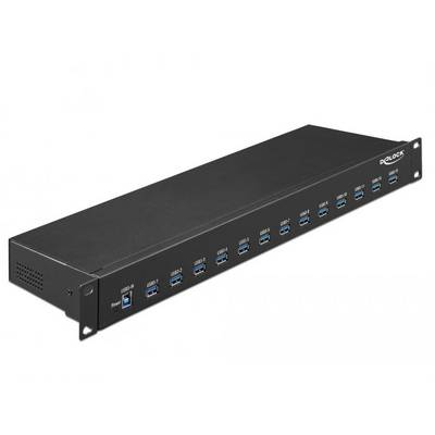 Delock 64039 USB Hub 13 portů USB-A, DC zásuvka 3,5 mm USB 3.2 Gen1 5 GBit/s černá 64039-0