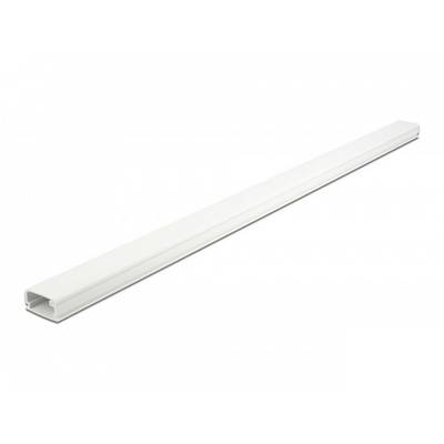 Delock Kabelová lišta PVC bílá (d x š x v) 1000 x 26 x 13 mm 1 ks 20721-0