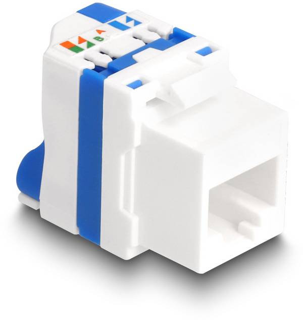 Delock 88130 RJ45 vestavný modul Keystone CAT 6A 1 ks
