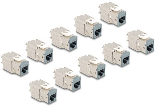 Delock 88120 RJ45 vestavný modul Keystone CAT 6A 1 ks