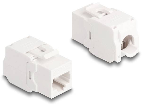 Delock 86051 RJ45 vestavný modul Keystone CAT 6A 1 ks-2