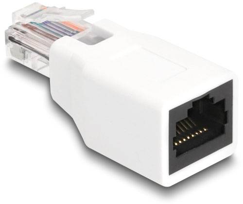 Delock RJ50 síťový adaptér [1x Konektor RJ50 - 1x Zásuvka RJ50 ] bílá-0