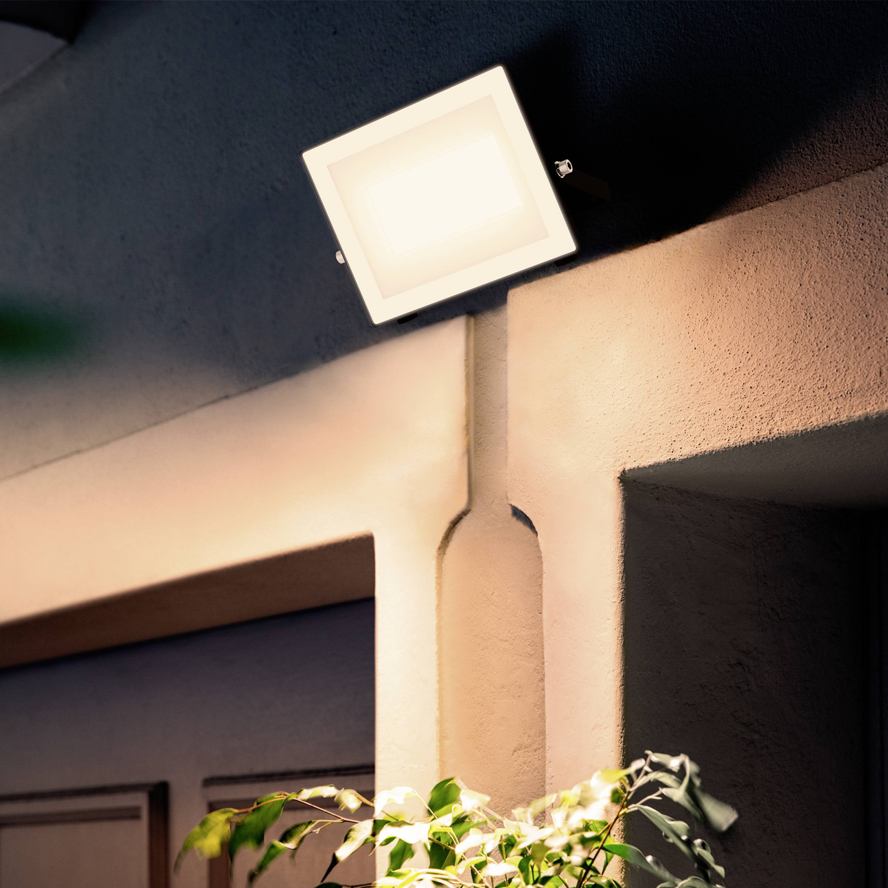 Nástěnná lampa svítí nad vchodem do domu za soumraku. V popředí jsou viditelné rozmazané rostliny.