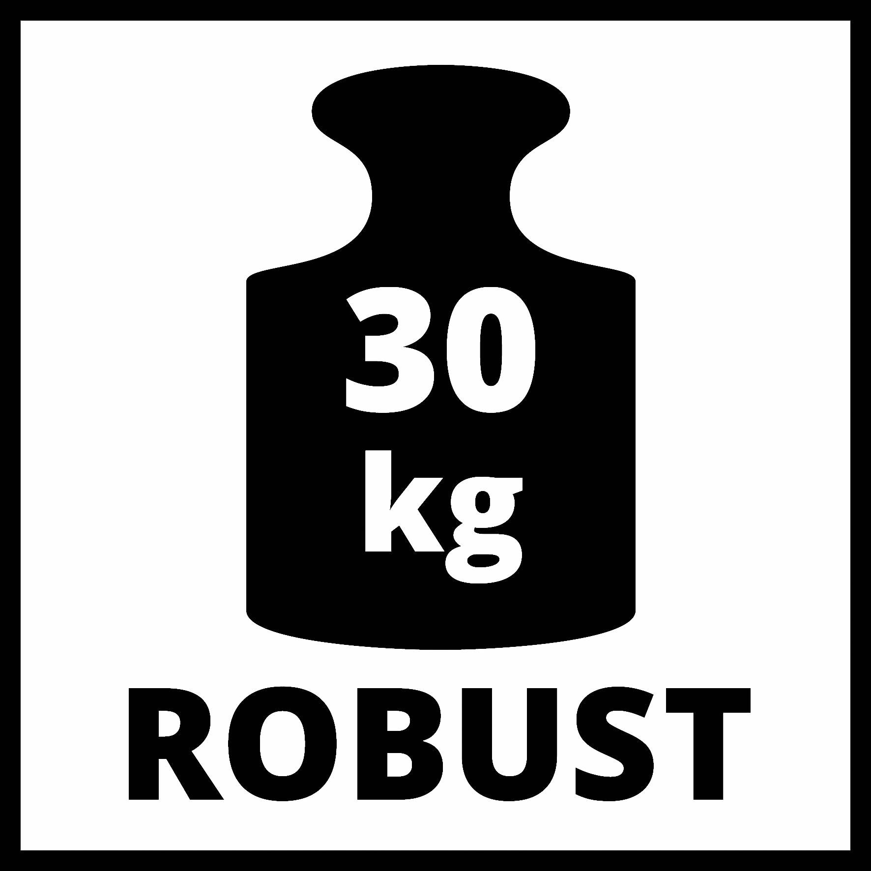 Na černém weights stojí nápis '30 kg ROBUST'. Symbolizuje sílu nebo robustnost s hmotnostní kapacitou 30 kilogramů.