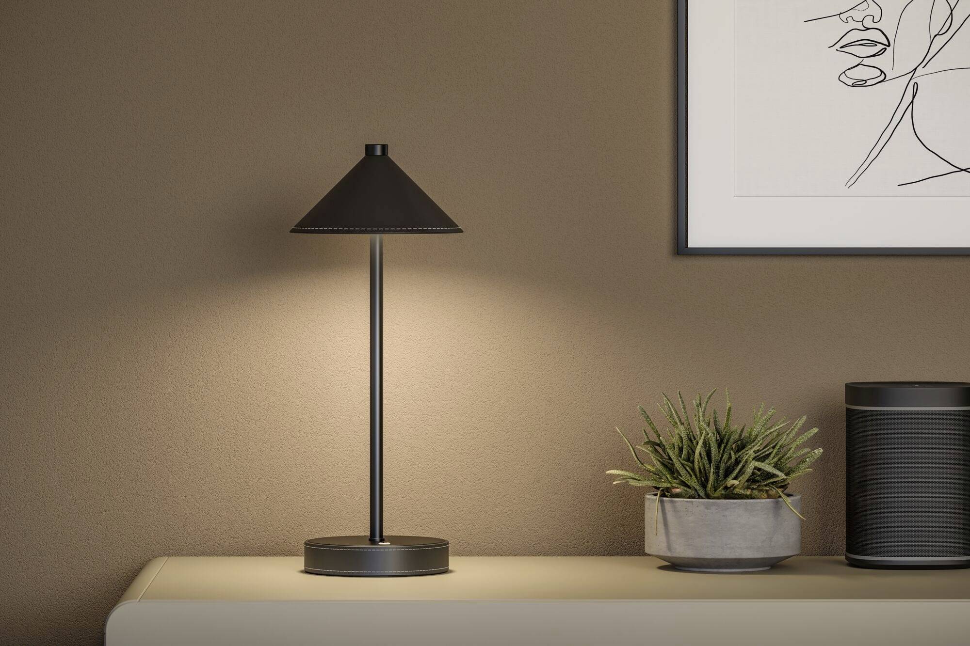 Černá stolní lampa osvětluje stůl, na kterém stojí malá pokojová rostlina. V pozadí visí umělecký obraz na stěně.