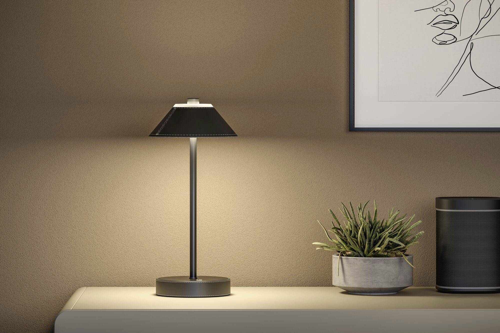 Jednoduchá černá stolní lampa slabě osvětluje stůl. Vedle ní stojí malá rostlina v šedém květináči. Na stěně visí moderní obraz.