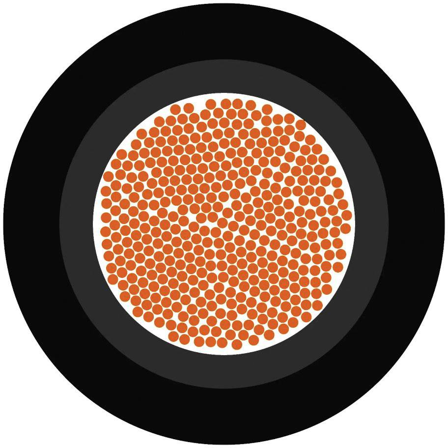 Obrázek ukazuje mnoho malých oranžových bodů těsně uspořádaných v šedém kruhu, obklopeném černým okrajem na bílém pozadí.