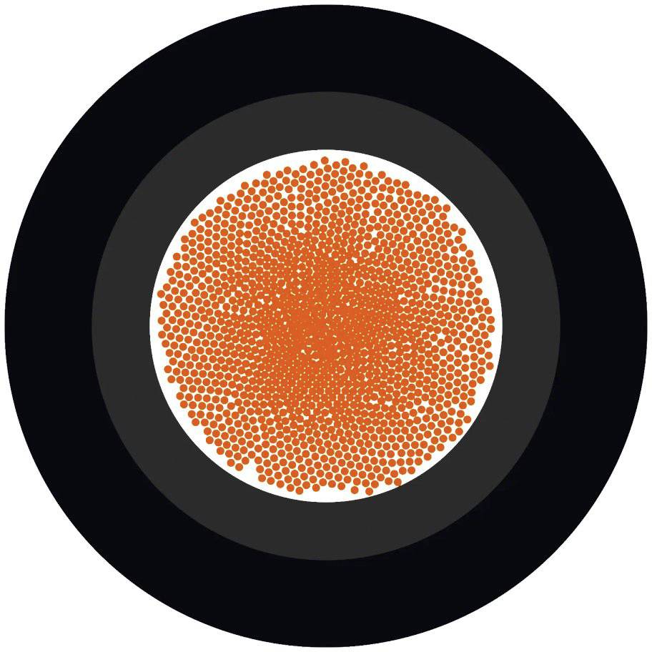 Černý disk s bílým kruhem uvnitř, vyplněným mnoha malými oranžovými body.