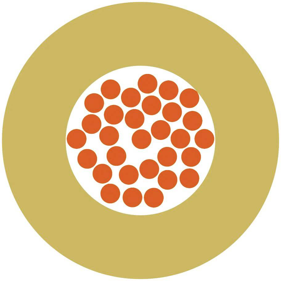 Bílý kruh s oranžovými body uvnitř, obklopený širokým zlatým prstencem.