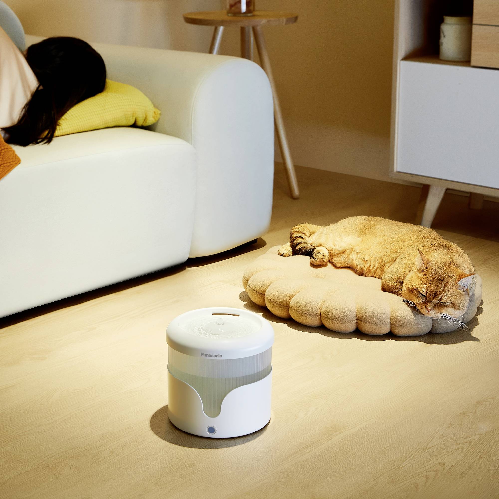 Oranžová kočka spí na béžovém polštáři vedle čističky vzduchu na podlaze. V pozadí stojí světle modrá pohovka.