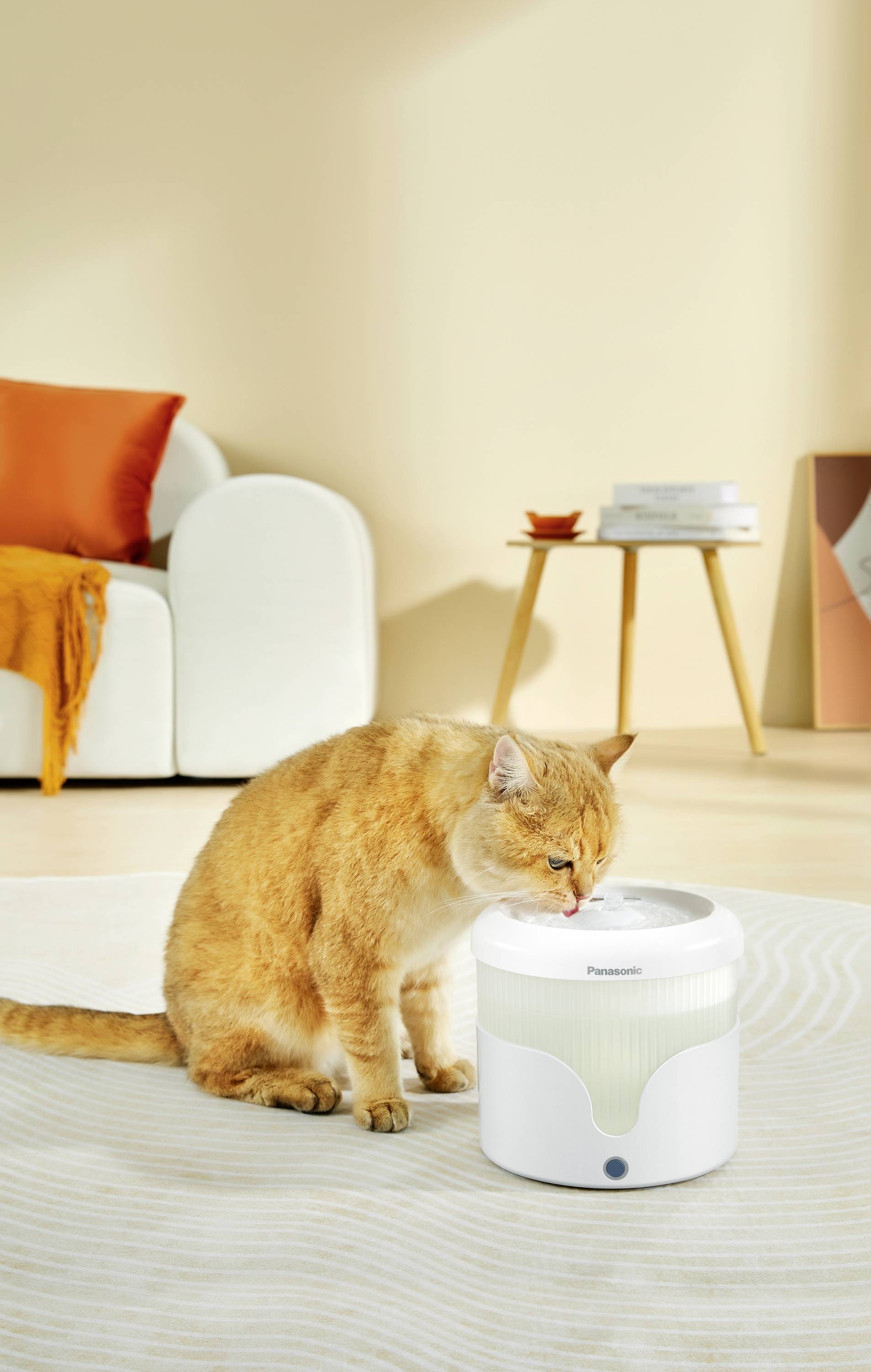 Oranžová kočka pije z bílého napájedla v světlém obývacím pokoji, v pozadí je pohovka a odkládací stolek.