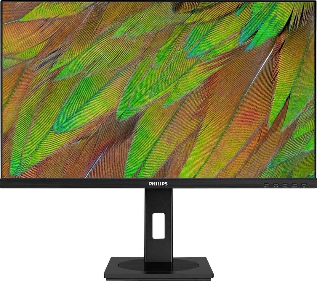 Philipsův monitor zobrazuje vysoce kvalitní obraz barevných paví per v zelených, oranžových a červených tónech.