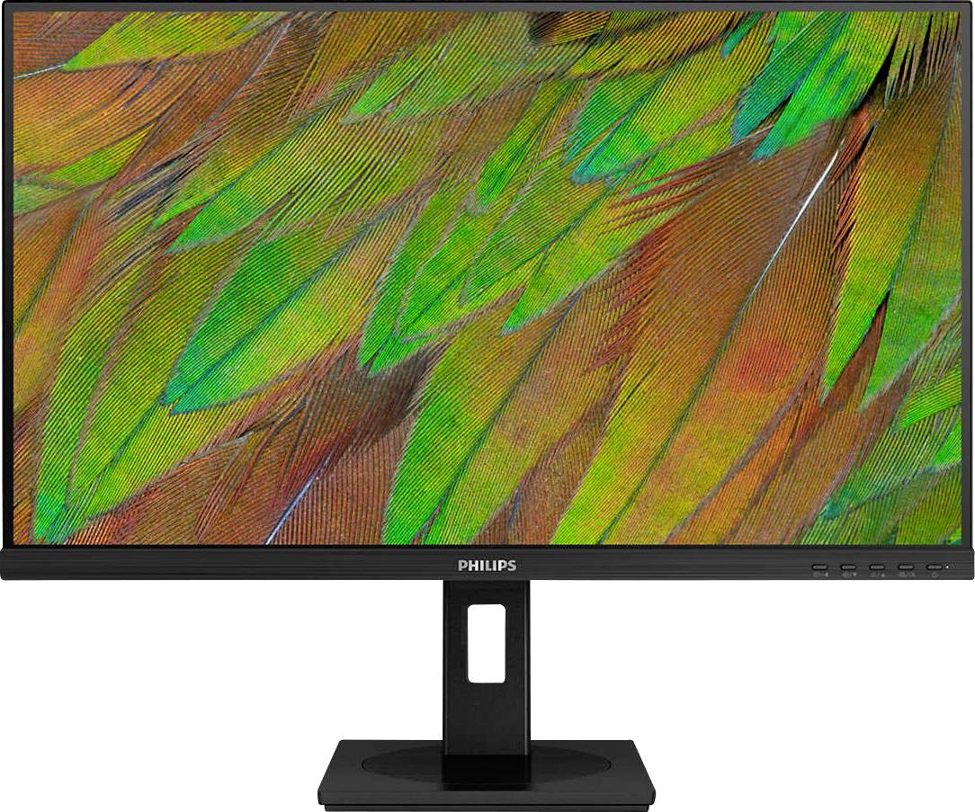 Monitor Philips zobrazuje pestré paví peří v zářivých zelených, oranžových a hnědých tónech na obrazovce.