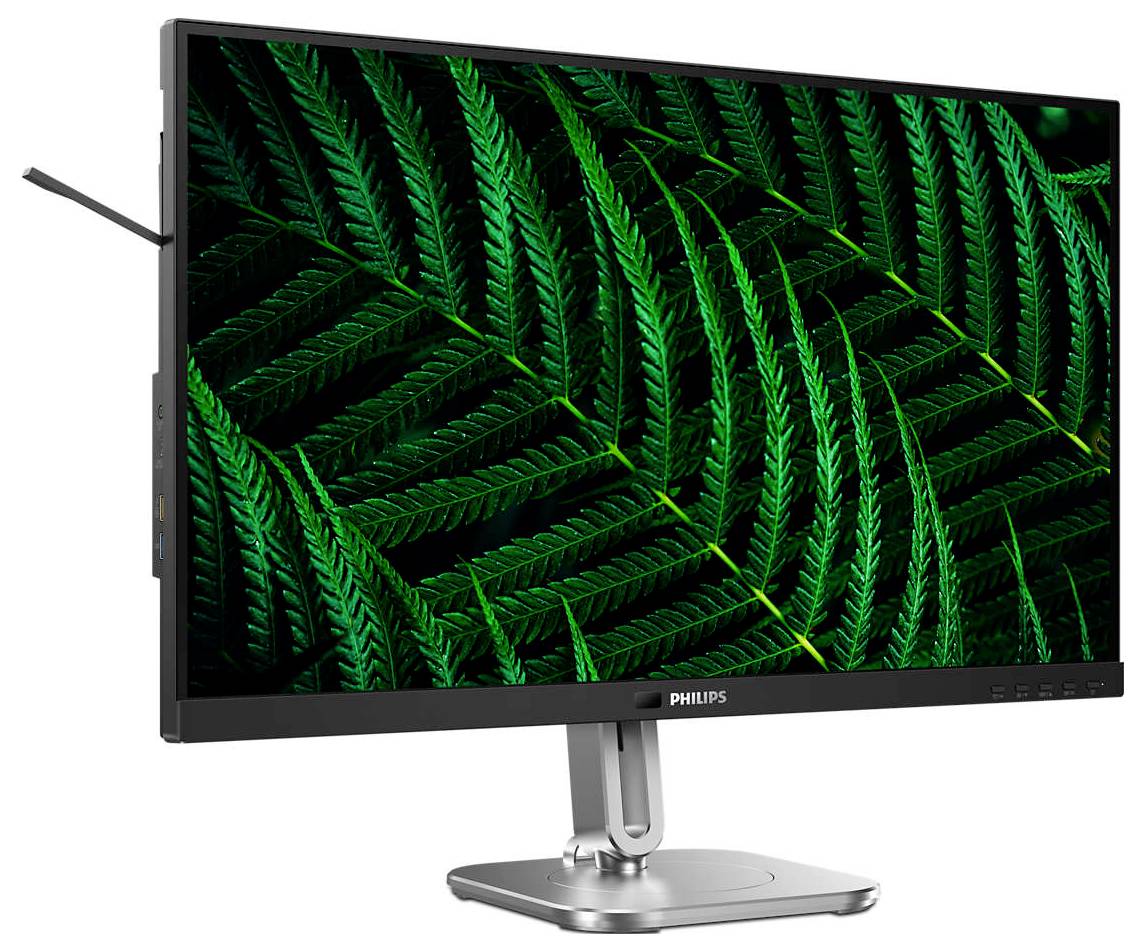 Philips monitor s úchvatným displejem, který zobrazuje živoucí obraz zelených kapradin.