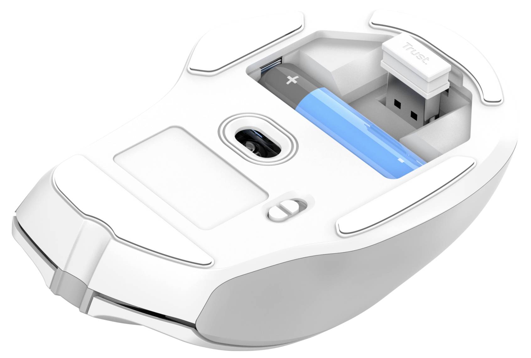 Spodní strana bílé počítačové myši s prostorem pro baterie a USB přijímačem. Modrá baterie je vložena do přihrádky na baterie.