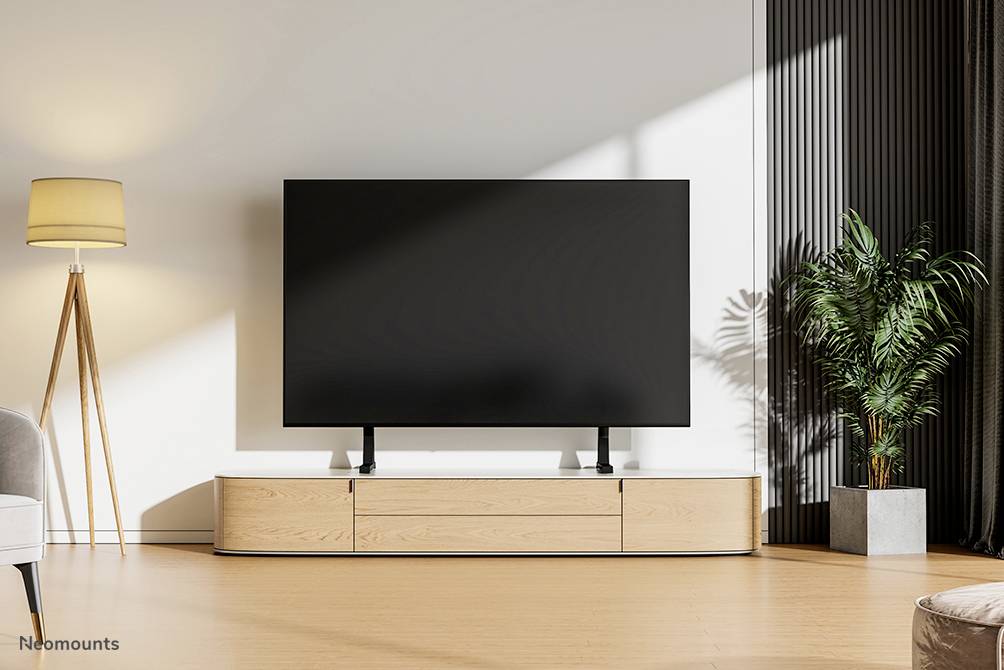 Velká plochá televize stojí na nízkém dřevěném nábytku v moderním obývacím pokoji s lampou a rostlinou.