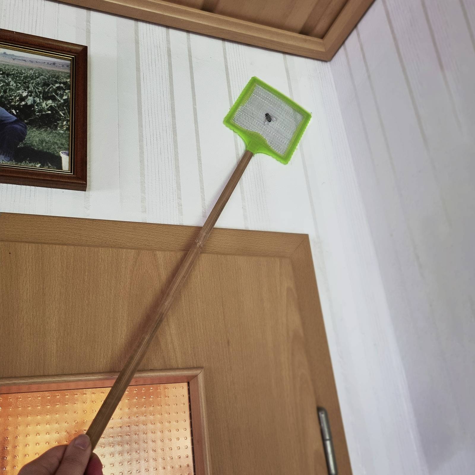 Zelená plácačka na mouchy visí nad dřevěnými dveřmi v místnosti s bílým dřevěným obložením. Na stěně visí obraz.