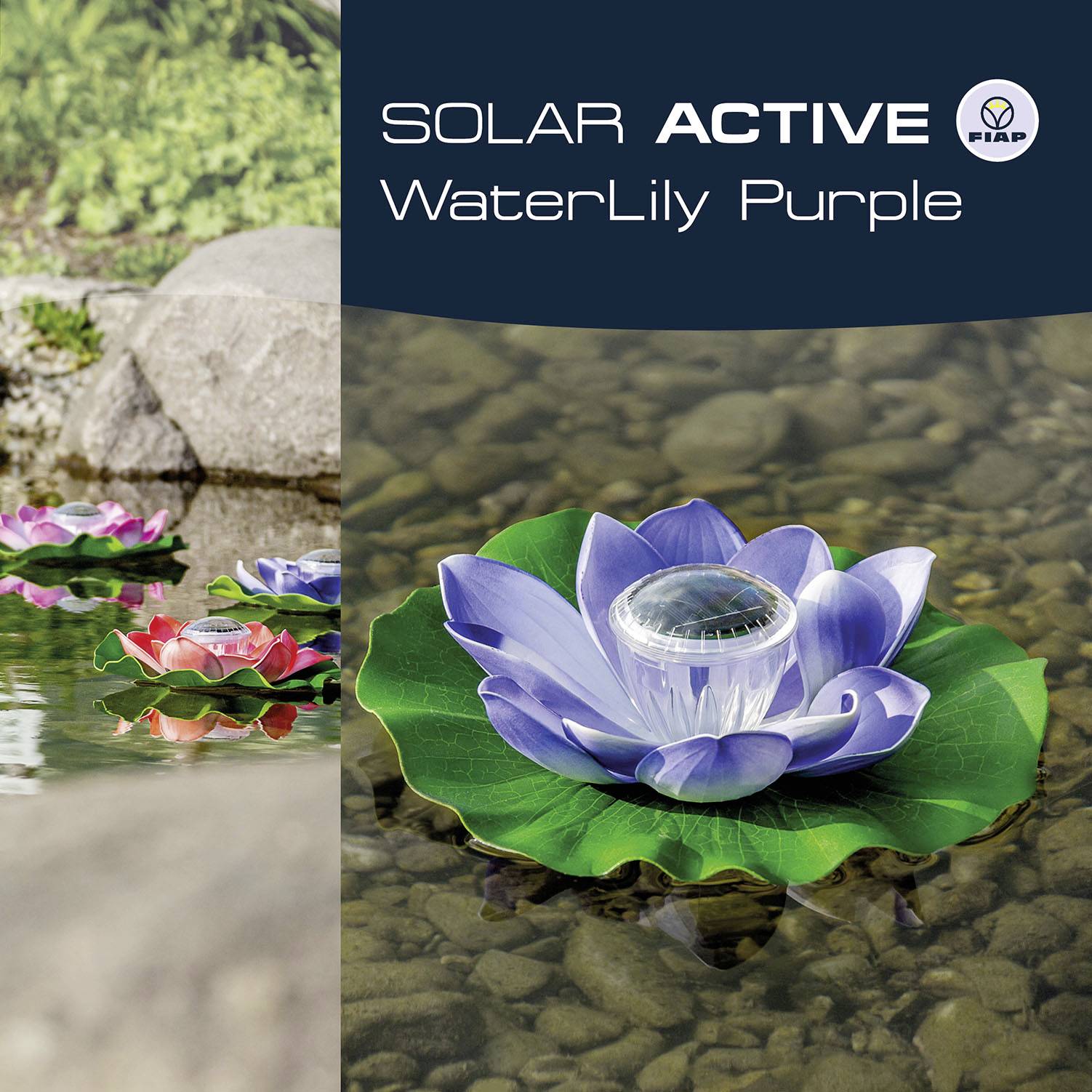 Solárně poháněná fialová vodní lilie plave na vodě. Pozadí tvoří kameny a tráva. Text: 'Solar Active WaterLily Purple'.