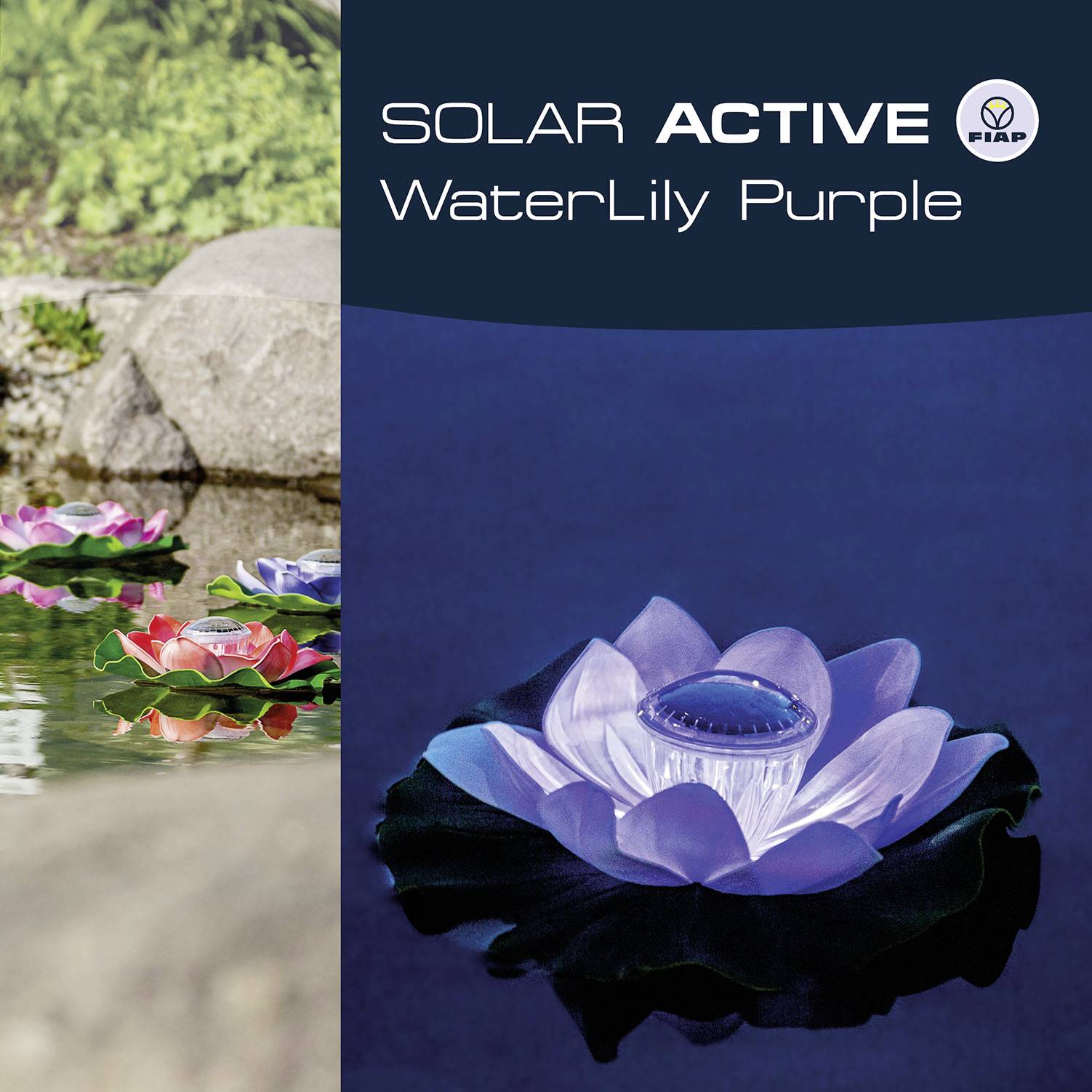 Solární umělé lekníny v rybníce, světélkující v různých barvách za tmy. Produkt: 'WaterLily Purple'.