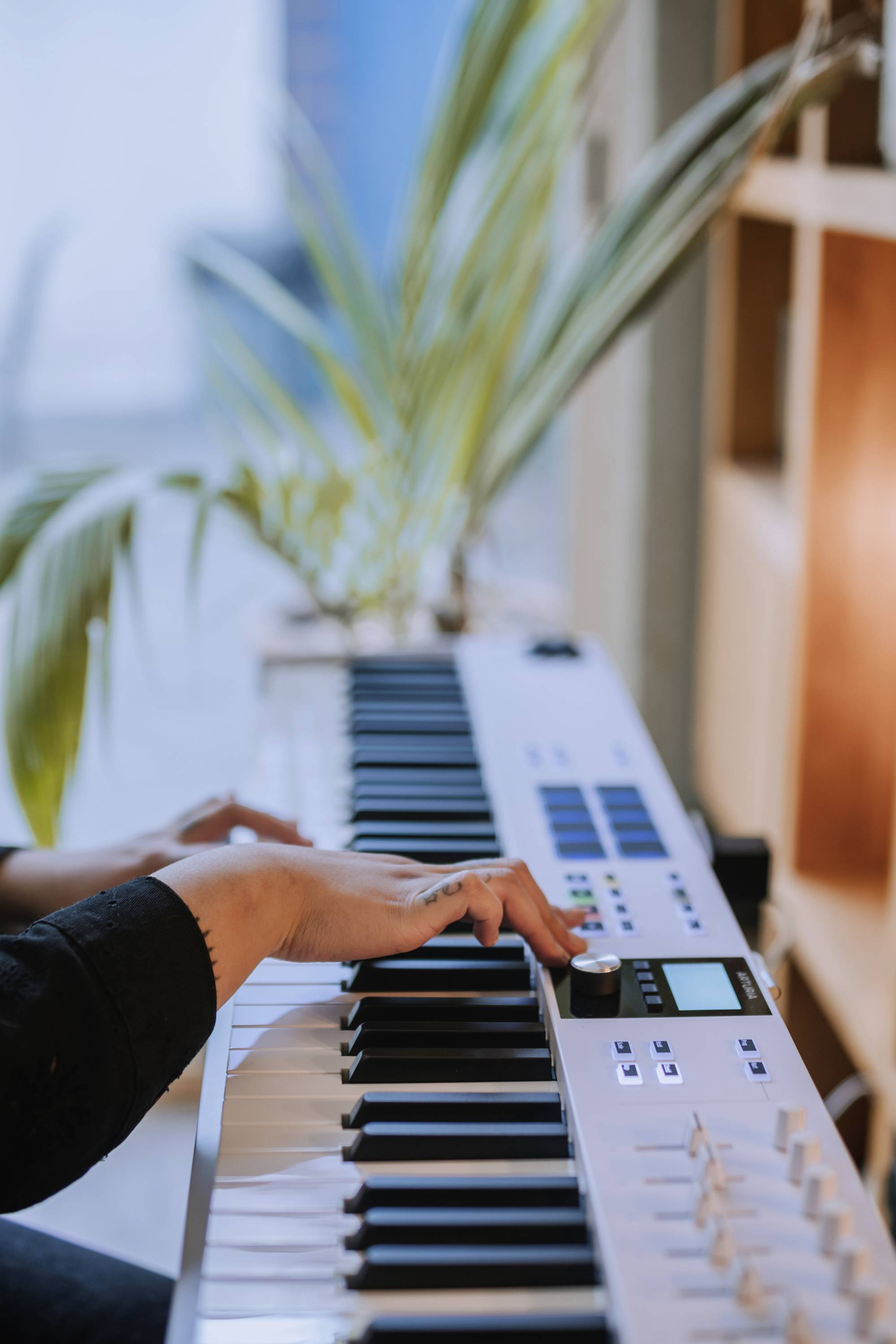 Osoba hraje na elektronickém keyboardu v místnosti s rostlinou v pozadí.