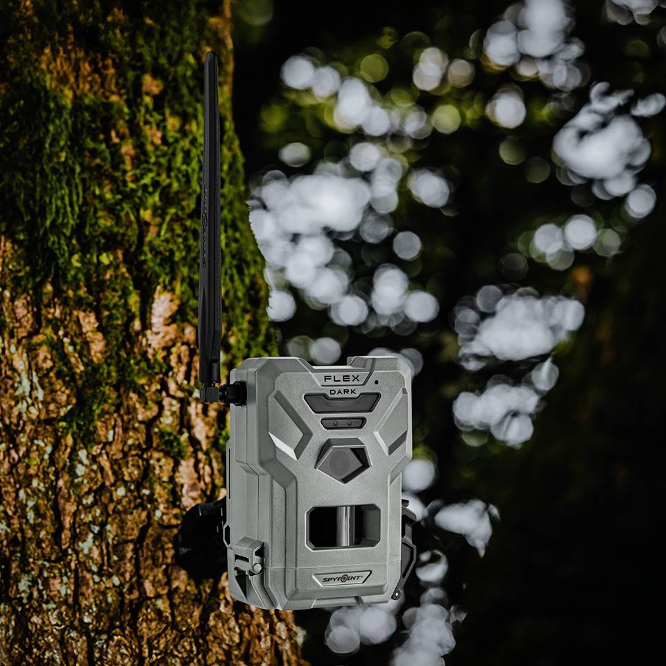 Spypoint Fotopast 40 Megapixel Low-Glow-LED, černé LED diody antracitová-6