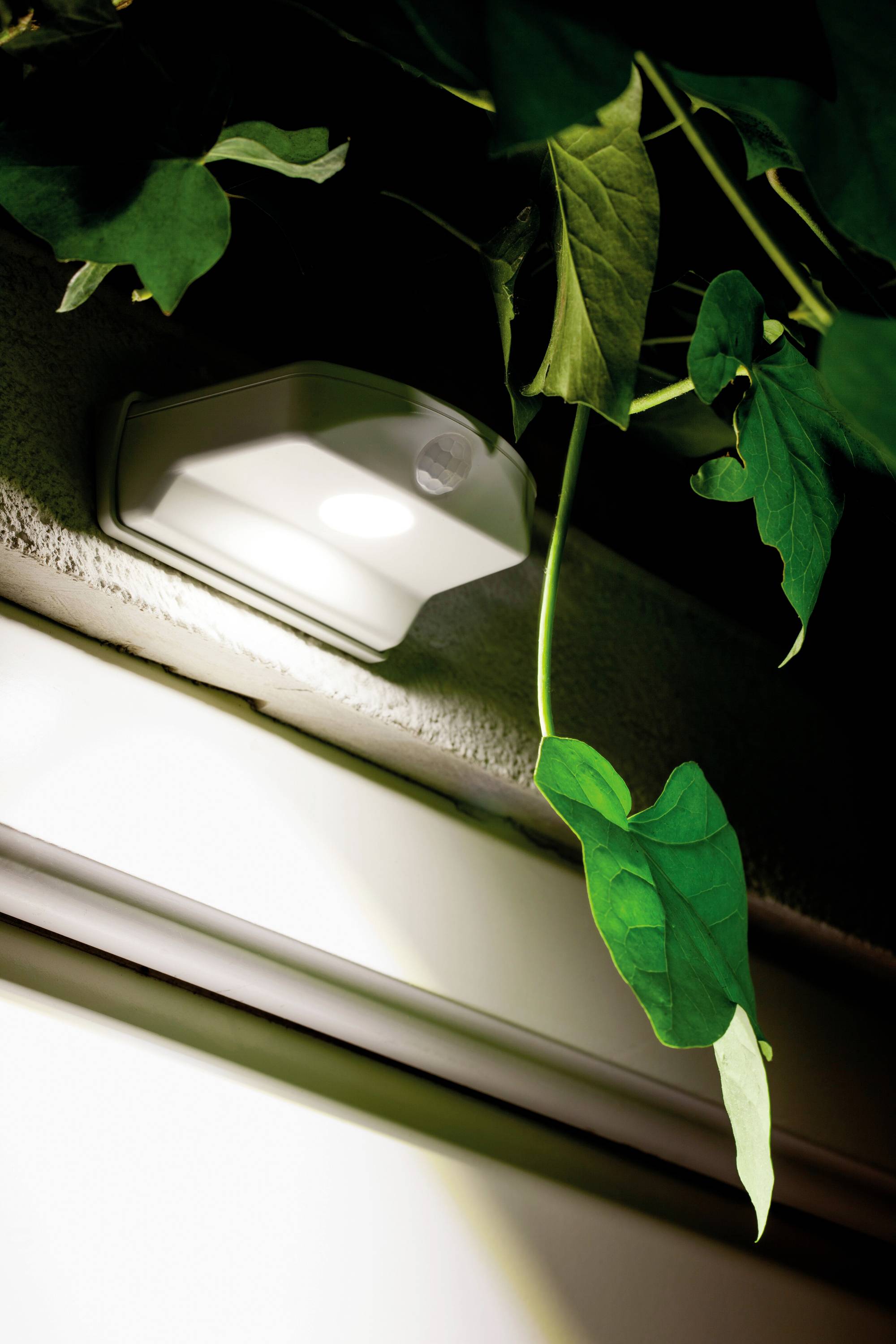 OSRAM HOMELIGHTING DoorLED Down Sensor 4000K White 4099854531439 LED noční světlo s PIR senzorem LED neutrální bílá bílá-3