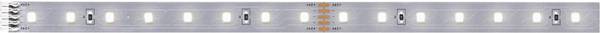 Paulmann MaxLED 500 71240 LED pásek 24 V/DC 1 m neutrální bílá 1 ks