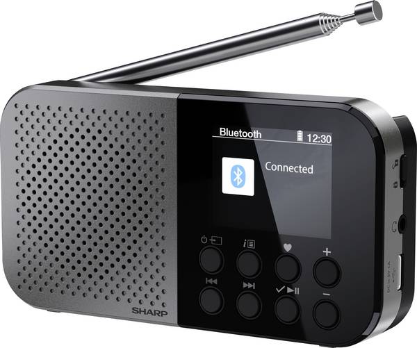 Sharp DR-P520 (GY) DR-P520 outdoorové rádio, FM, DAB, Bluetooth, s USB nabíječkou, na dotek výrazná tlačítka, černá