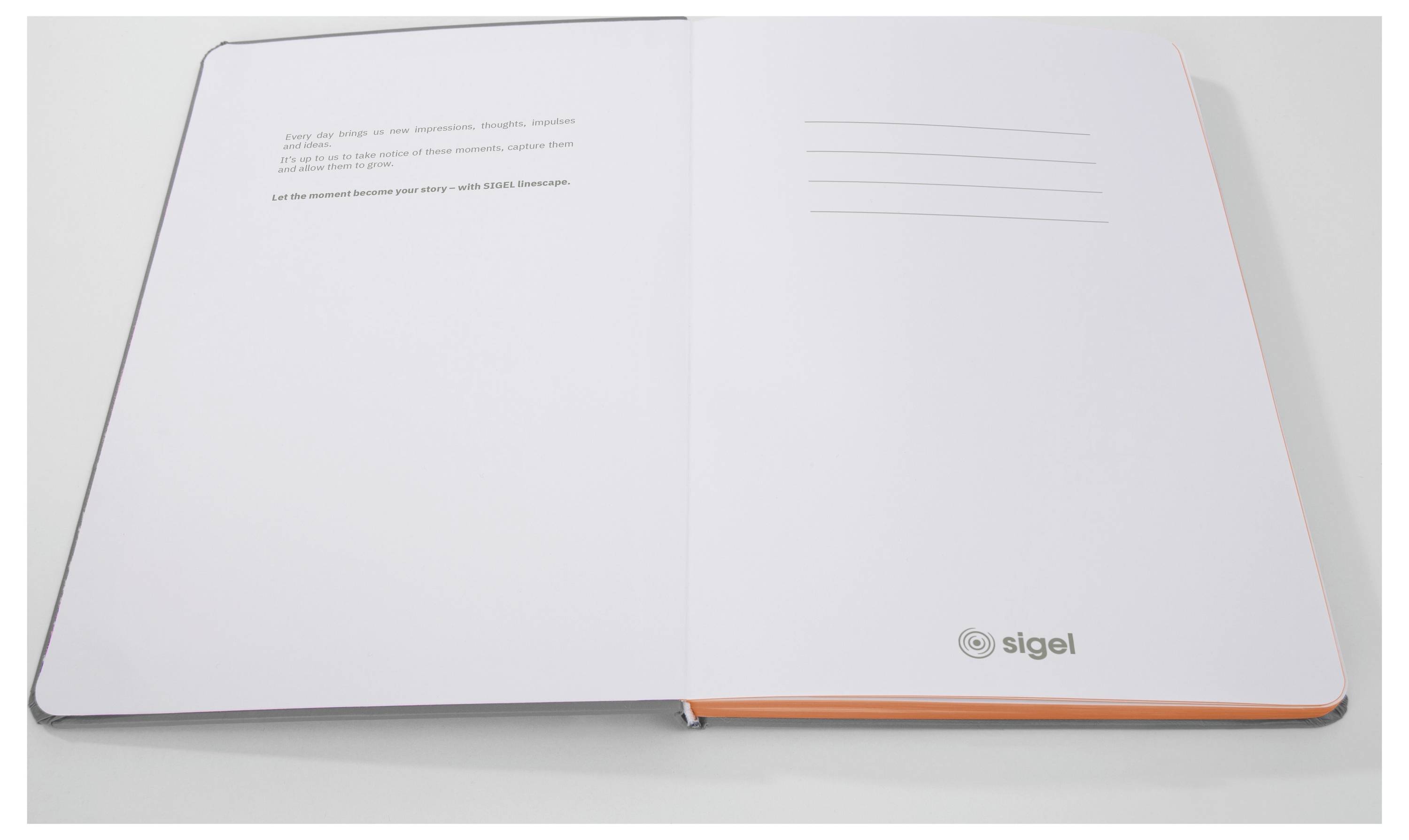 Sigel LS200 poznámková kniha Linescape Hardcover DIN A5 čtverečkovaný světle šedá, neonově oranžová Počet listů: 88 list-6