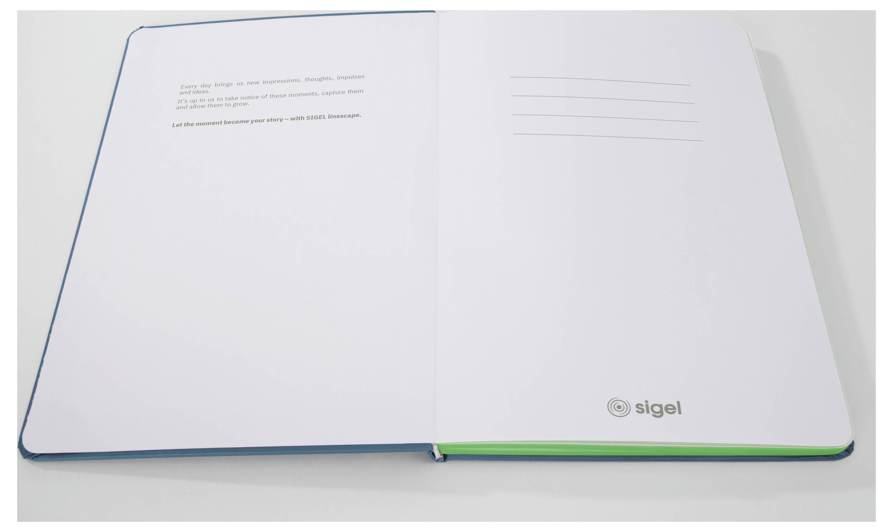 Sigel LS204 poznámková kniha Linescape Hardcover DIN A5 čtverečkovaný středně modrá , neonově zelená Počet listů: 88 lis-3
