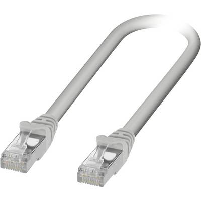 Ethernetový kabel s průhlednými konektory na každém konci, používaný pro síťové připojení a internetové připojení.