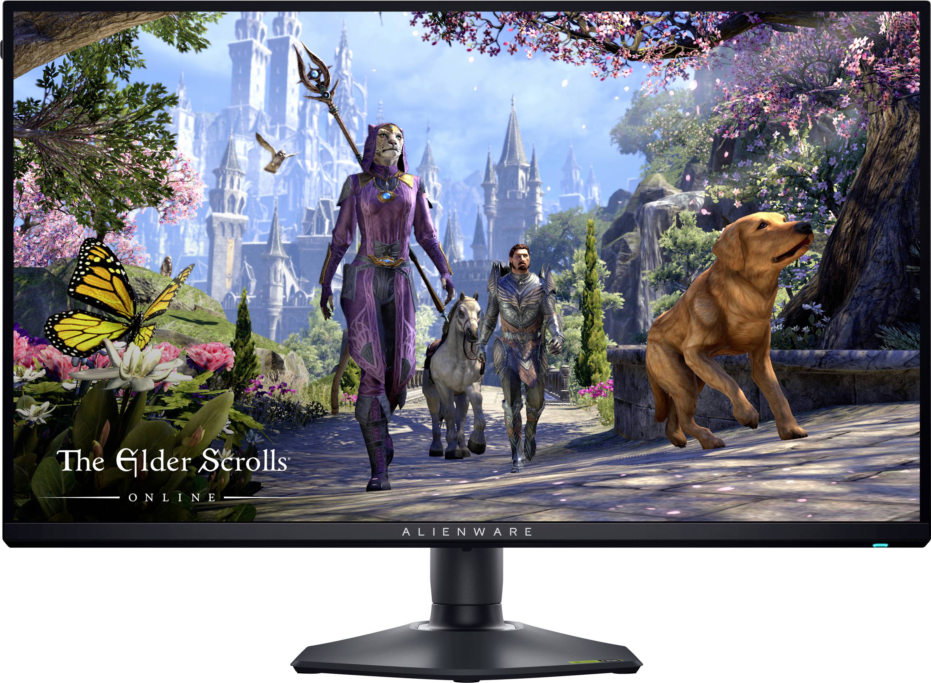 Na monitoru počítače se zobrazuje fantastický výjev z 'The Elder Scrolls Online': čaroděj, rytíř, kůň a pes v bohaté, magické krajině.