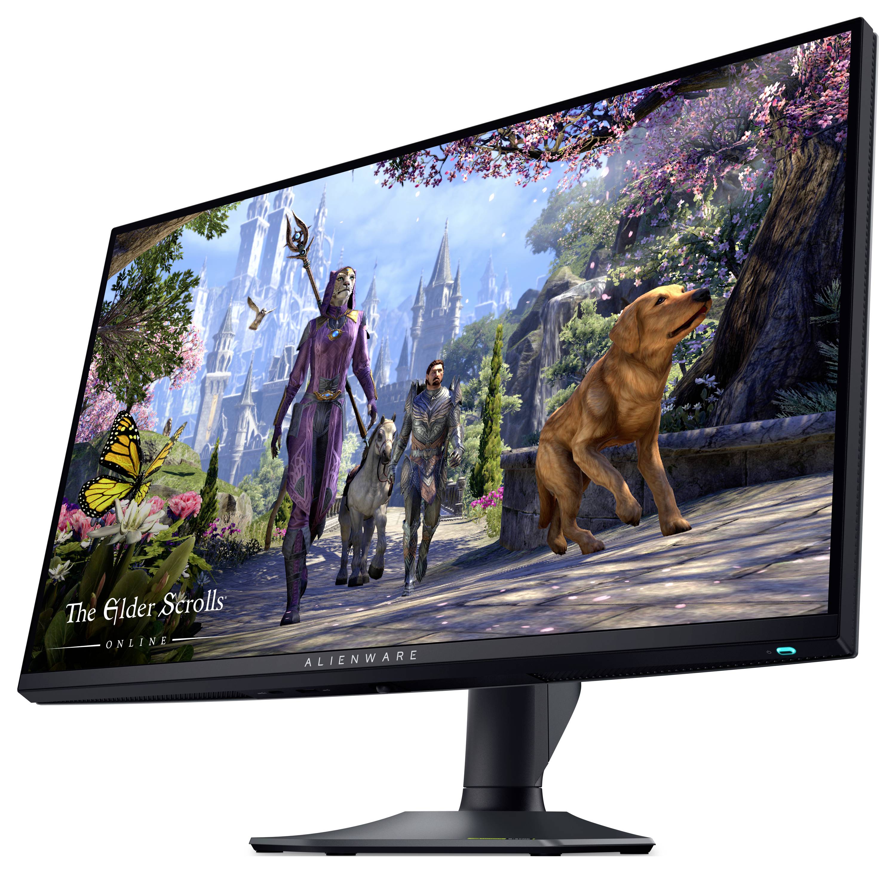 Počítačový monitor zobrazuje živou fantasy scénu z 'The Elder Scrolls Online', která zachycuje majestátní hrad, postavy a psa.