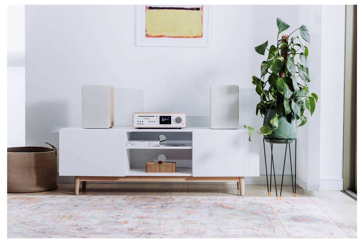 Moderní obytný prostor s bílou skříňkou vybavenou stereo systémem a reproduktory, vysokou pokojovou rostlinou v květináči a barevným abstraktním obrazem.