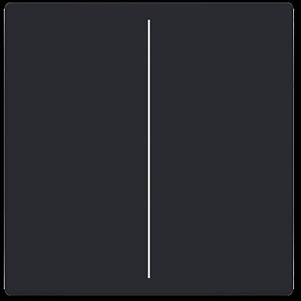 Busch-Jaeger  kryt   Future Linear  2CKA006199A0055  1 ks