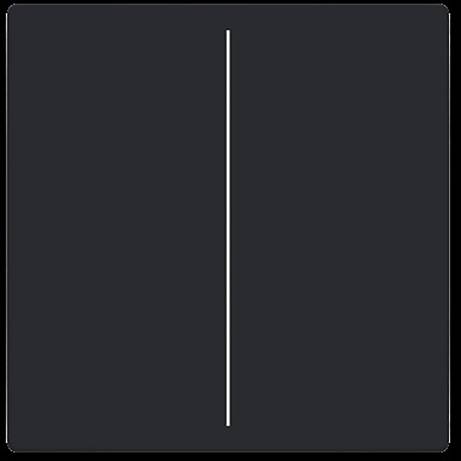 Busch-Jaeger kryt Future Linear 2CKA006199A0055 1 ks-0