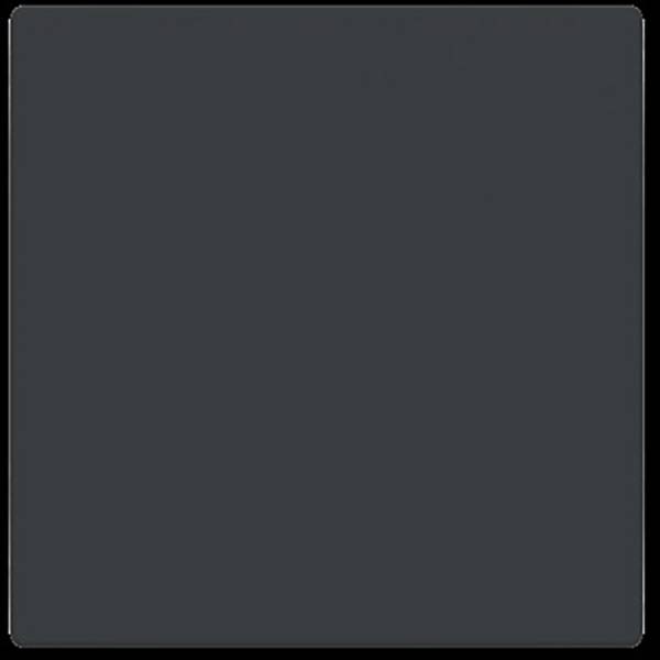 Busch-Jaeger  kryt   Future Linear  2CKA006199A0042  1 ks